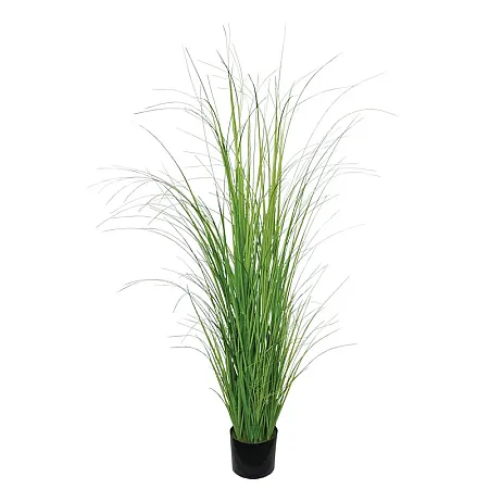 images/uploads/25068/thumb_22100 G.webp